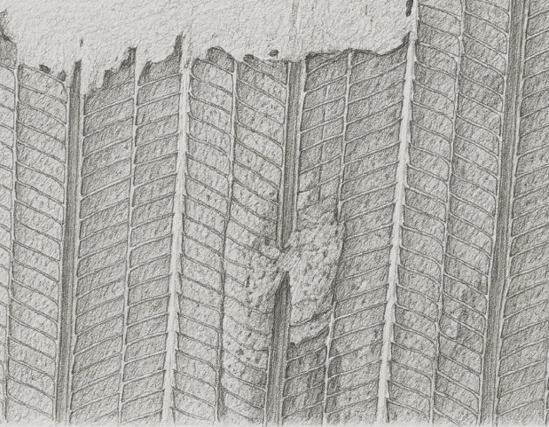 Rib Lath